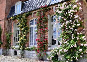 © Château du Mesnil-Geoffroy