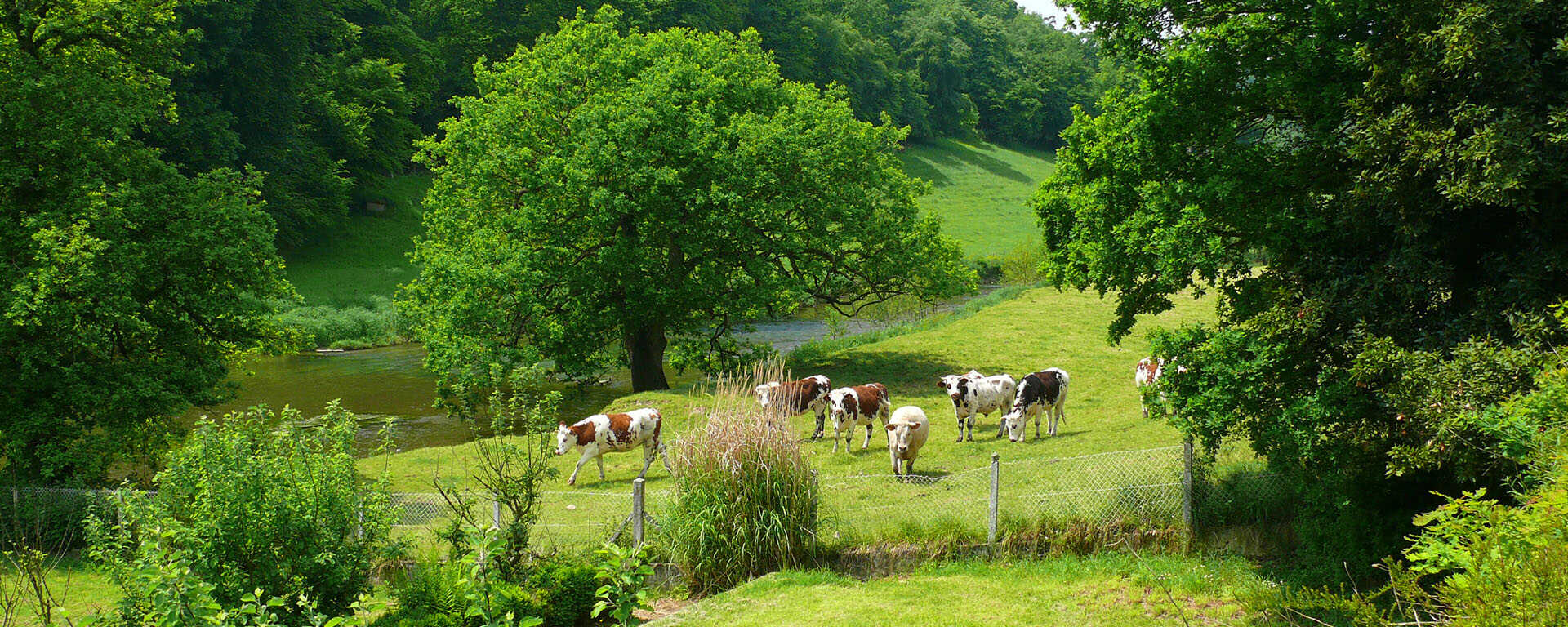 A Travers Le Bocage Normand