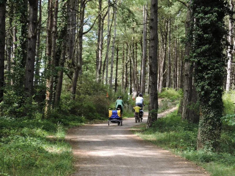 Balade à vélo à Quend Plage