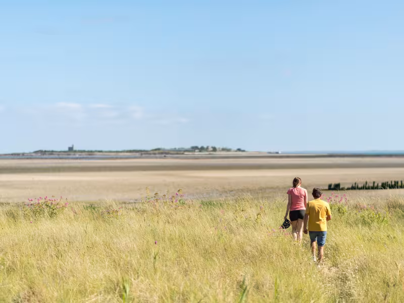 Vue sur Saint-Vaast-la-Hougue