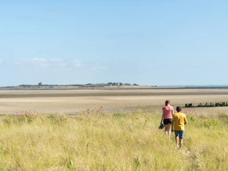 Vue sur Saint-Vaast-la-Hougue