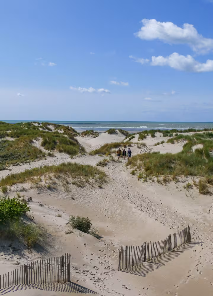 Baie de canche