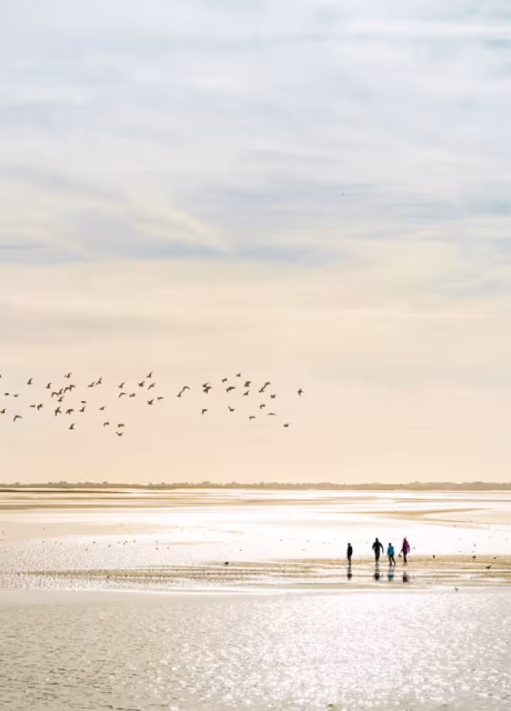 Baie de Somme ©B. Bremer