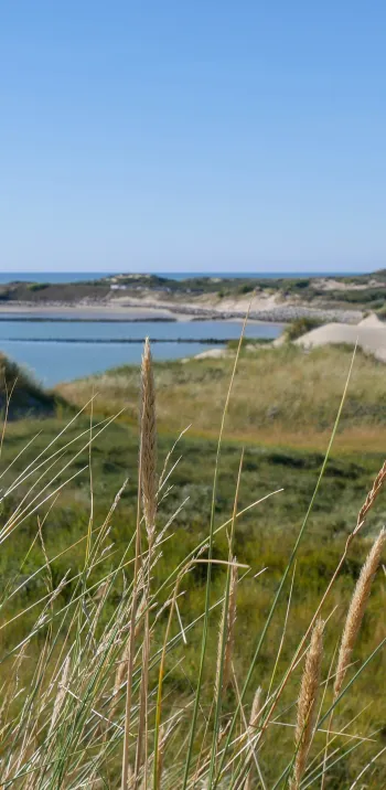 La Baie d'Authie