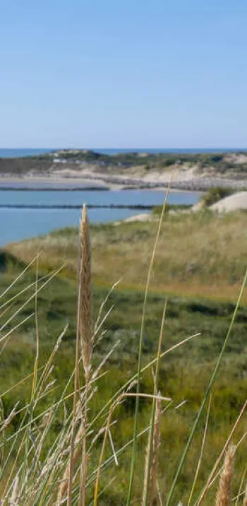 Baie d'Authie -A.Chaput Pas-de-Calais Tourisme.jpg