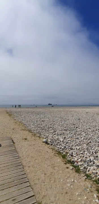 le-havre-3396611_1920.jpg