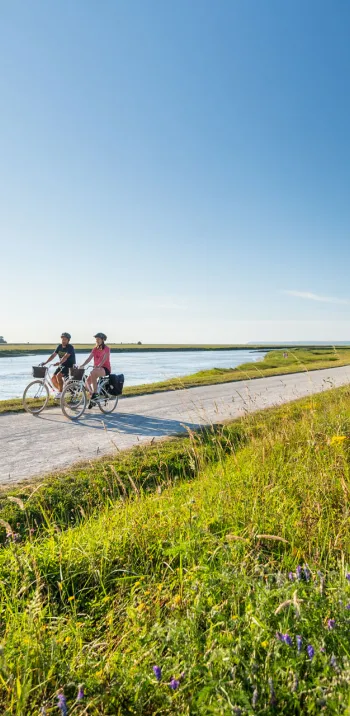 Le Mont-Saint-Michel