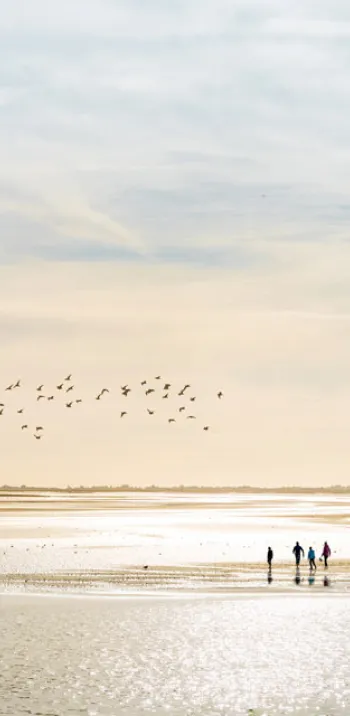 Baie de Somme B. Bremer