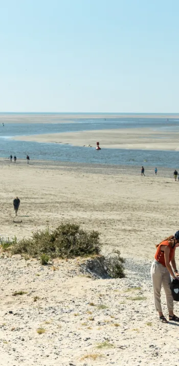 La route blanche entre Le Hourdel et Cayeux-sur-Mer