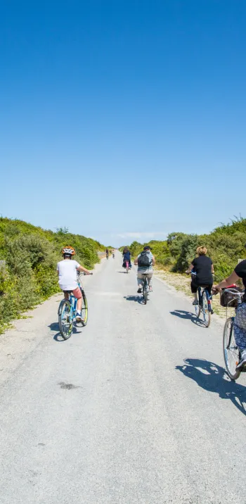 La Route Blanche entre le Crotoy et Cayeux-sur-Mer