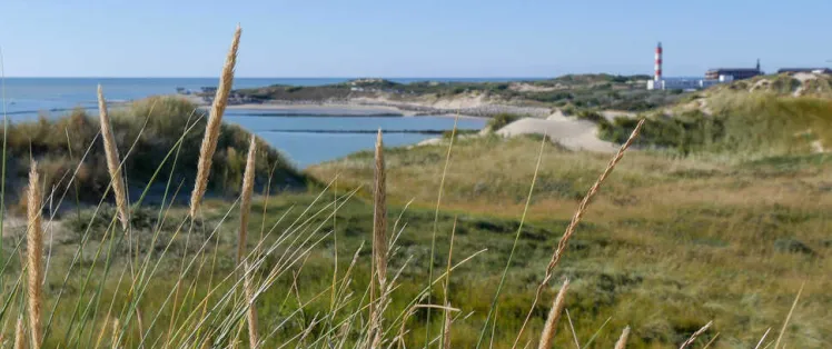 Baie d'Authie -A.Chaput Pas-de-Calais Tourisme.jpg