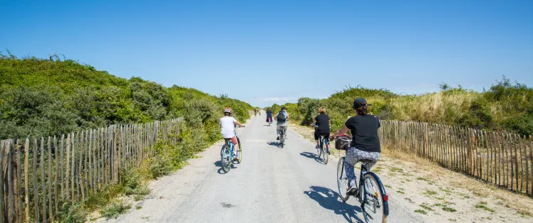 La Route Blanche entre le Crotoy et Cayeux-sur-Mer