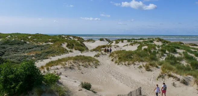Baie de canche
