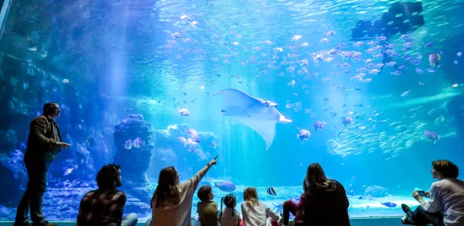 Nausicaá - Centre national de la Mer