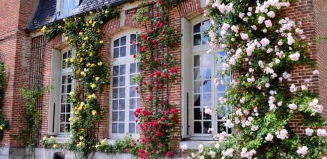 © Château du Mesnil-Geoffroy