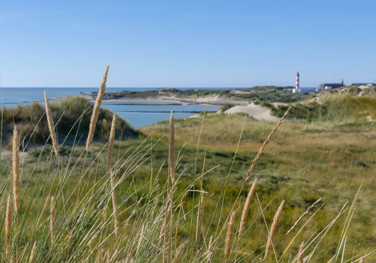baie d'authie