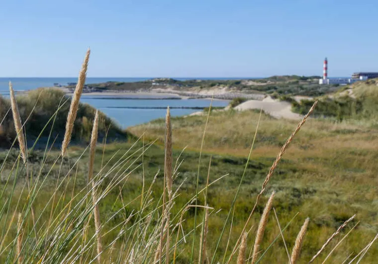 Baie d'Authie