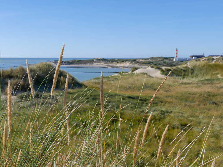 baie d'authie