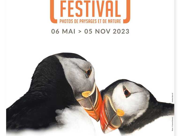 affiche photo festival